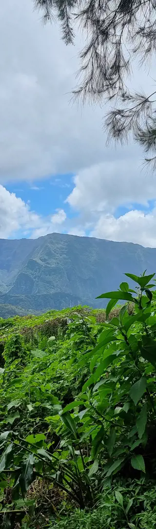 Gepäcktransport auf La Réunion